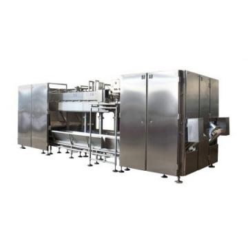 Double Screw Breakfast Cereal Corn Pellet Frying Choco Chips Pan Puff Snacks Cheese Ball Artificial Rice Soyabean Protein Bread Food Processing Making Machine