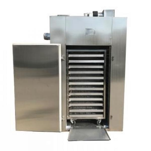 Automatic Small Fish Milk Dry Dog Pet Food Honey Tomato Fruit Vegetable Food Freeze Drying Processing Making Dehydrator Machine Factory Price #1 image
