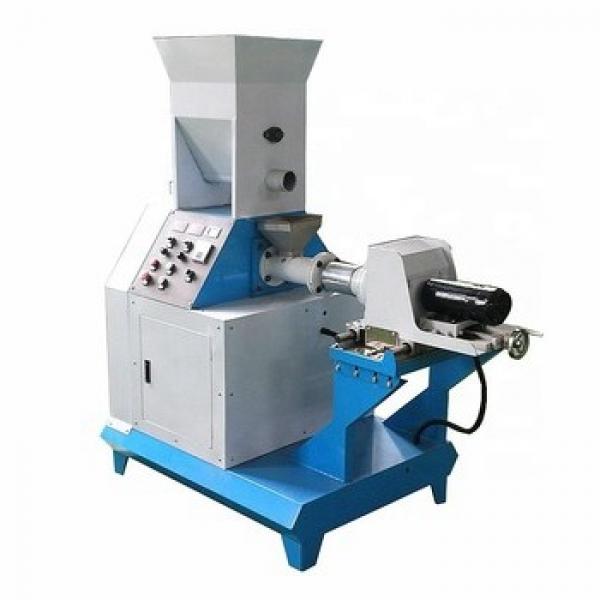 Microwave Vacuum Drying/Dryer/Drier/Puffing Machinery for Slices #1 image