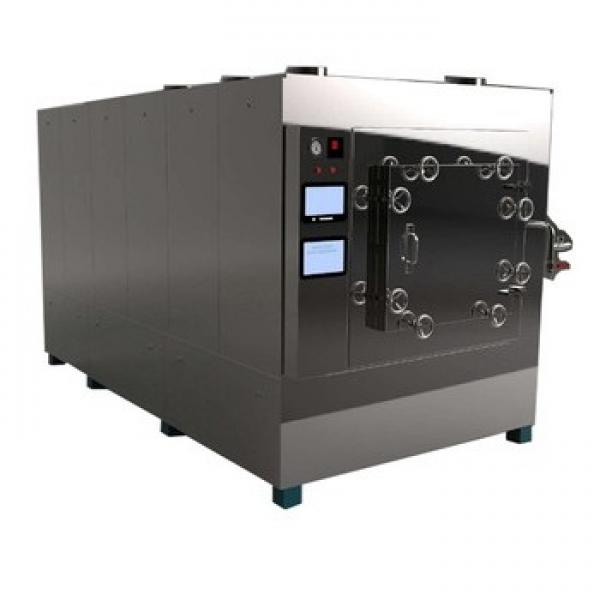 Laboratory High Quality Batch Type Microwave Vacuum Dryer Drying Machine #1 image