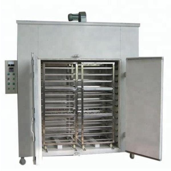 Pasta Manufacturing Machine Price Macaroni Making Machine #1 image