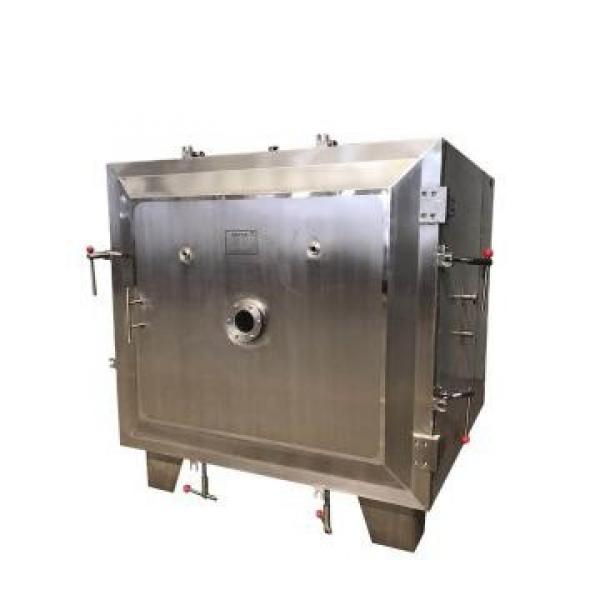 3ton Petfood Dog Food Fish Feed Double Crab Feed Single Snack Screw Extruder Extrusion #1 image