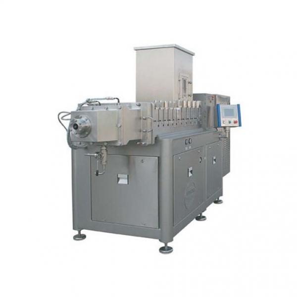 Puffed Snack Extruder Food Extrusion Automatic Stainless Cheetos Food Extruder #1 image