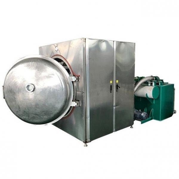 Professional Fish Feed Dog Pet Food Processing Line #1 image