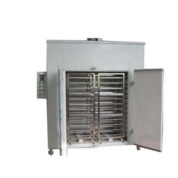 Fish Food Extruder Equipment Floating Fish Feed Processing Line #1 image