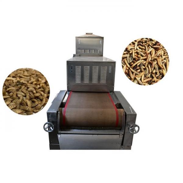 Automatic Fish Food Making Machine, Floating Fish Feed Extruder, Fish Food Processing Line #1 image