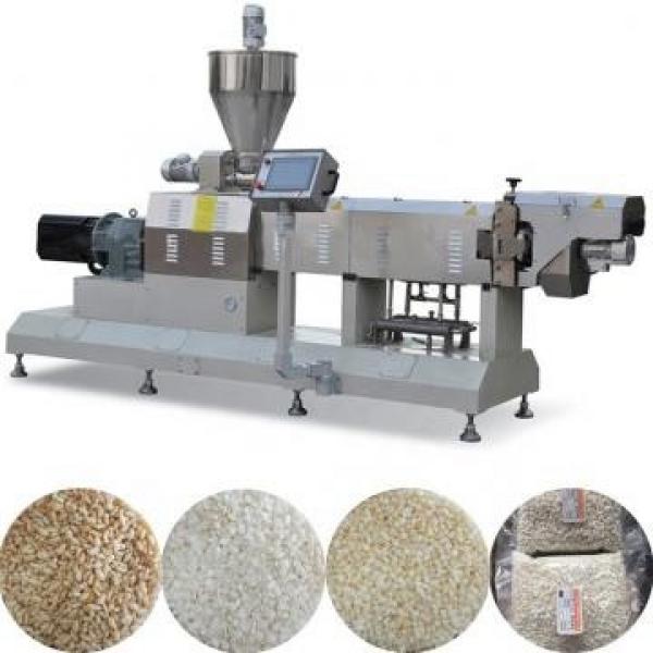 Automatic Single-Screw Extruder Frying Snack Pellet Food Machine #1 image