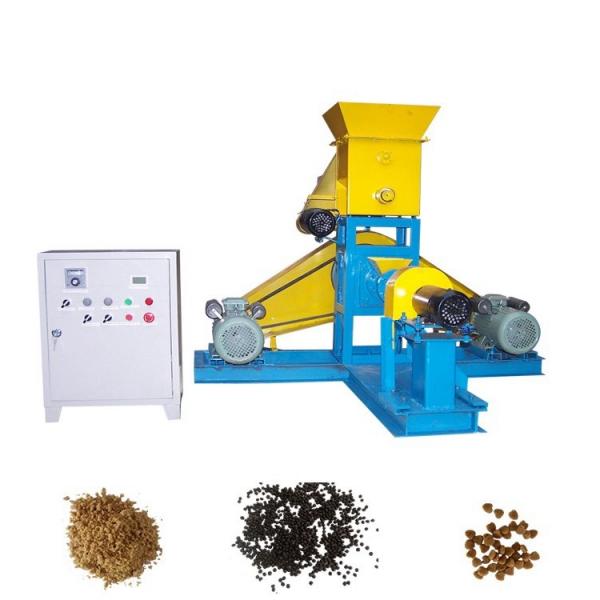 Agricultural Dry Dog Pet Food Processor Freeze Dryer Machine Equipment #1 image