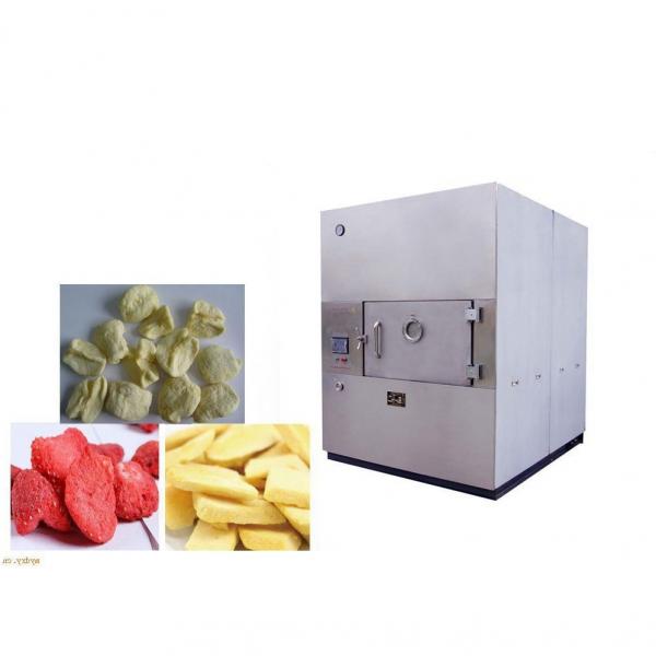 Microwave Food Grain Vegetable Dryer Roasting Drying Curing Sterilization Machine #1 image