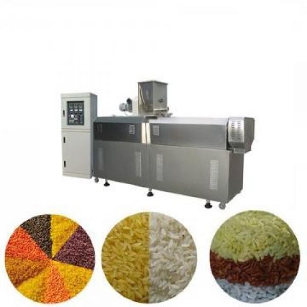 Automatic Dry Animal Pet Dog Cat Floating Sinking Fish Feed Pellet Production Snack Food Processing Making Extrusion Extruder Machine #1 image