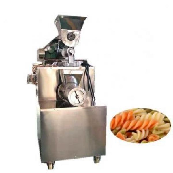 CE Aprroved Pet Food Processing Machine Animal Feed Pelletizer Machine #1 image