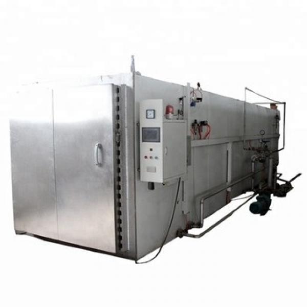 Automatic Food Dehydrated Vegetable Heat Pump Hot Air Dryer for All Kinds of Vegetable Fruit #1 image